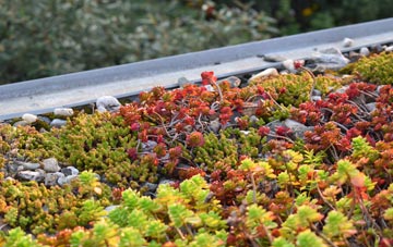 the cost of Reddingmuirhead green roof installation