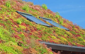Reddingmuirhead living roof systems