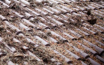 Reddingmuirhead roof cleaning companies