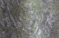 Reddingmuirhead fibreglass roof work